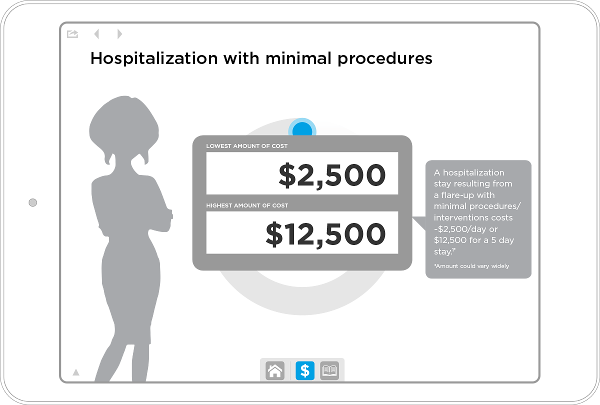 Wireframe screen showing the Budget Costs overlay, which displays cost range for hospitalization, from $2,500 to $12,500